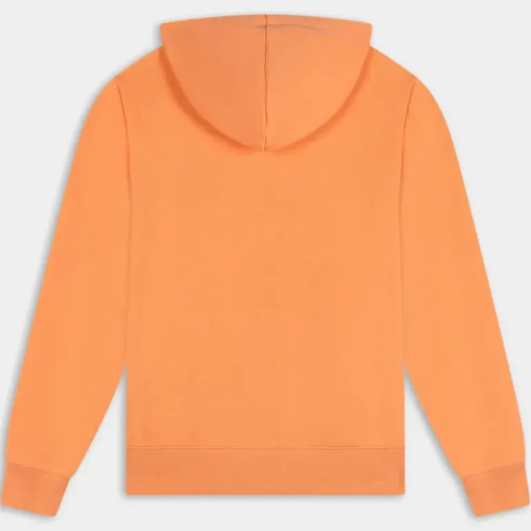 AME HD- MAGLIE E FELPE ARANCIO 116065