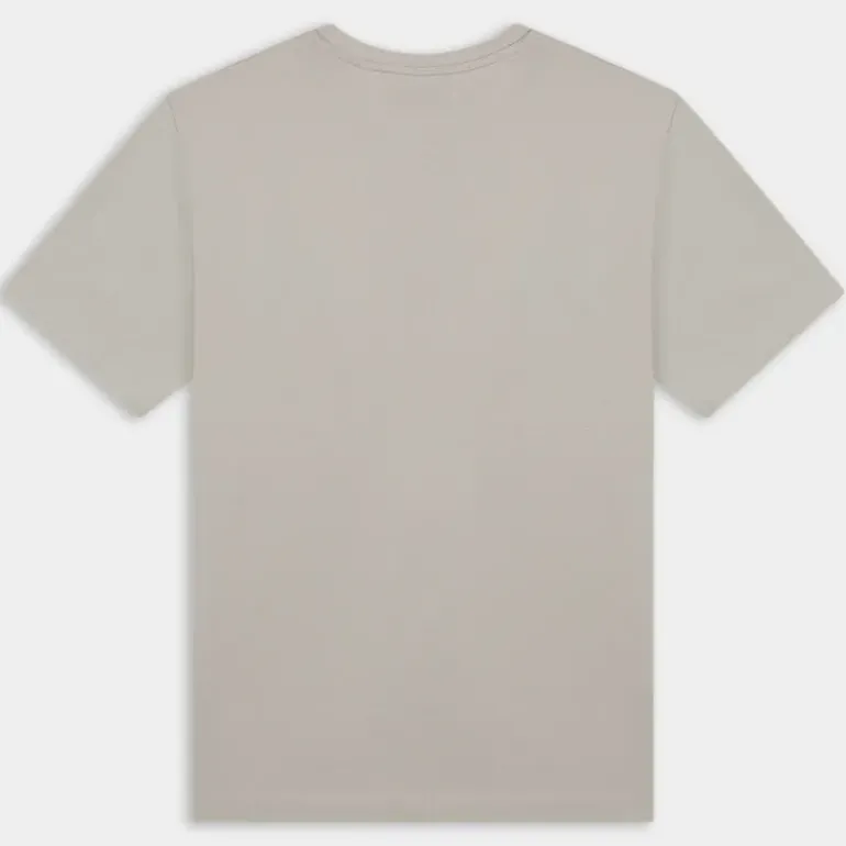 BASIC T- T-SHIRT GLACIER GRAY 12280158