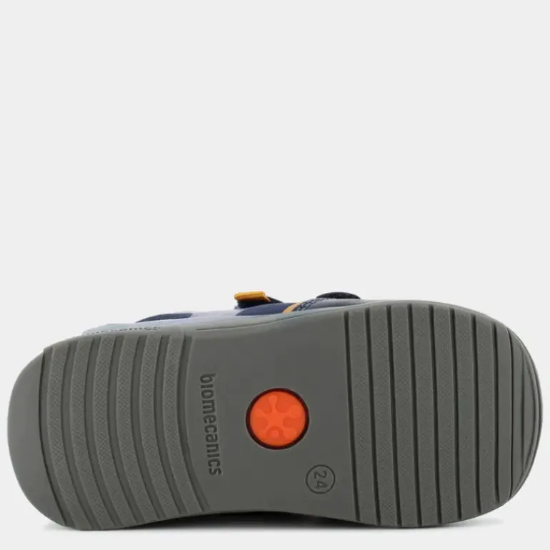 Biogateo- PRIMI PASSI OCEAN 241121