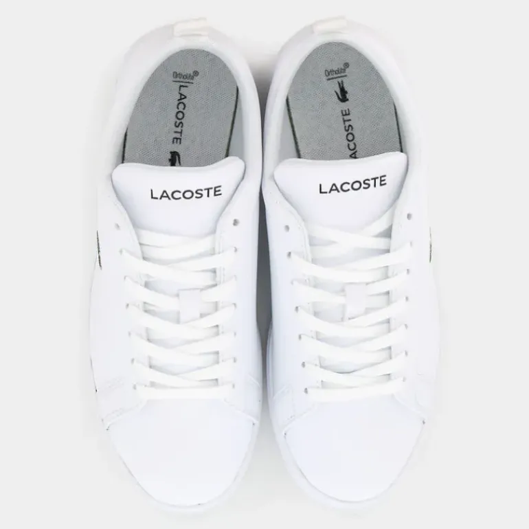 CARNA BASE- SPORTIVE WHT/WHT I02987
