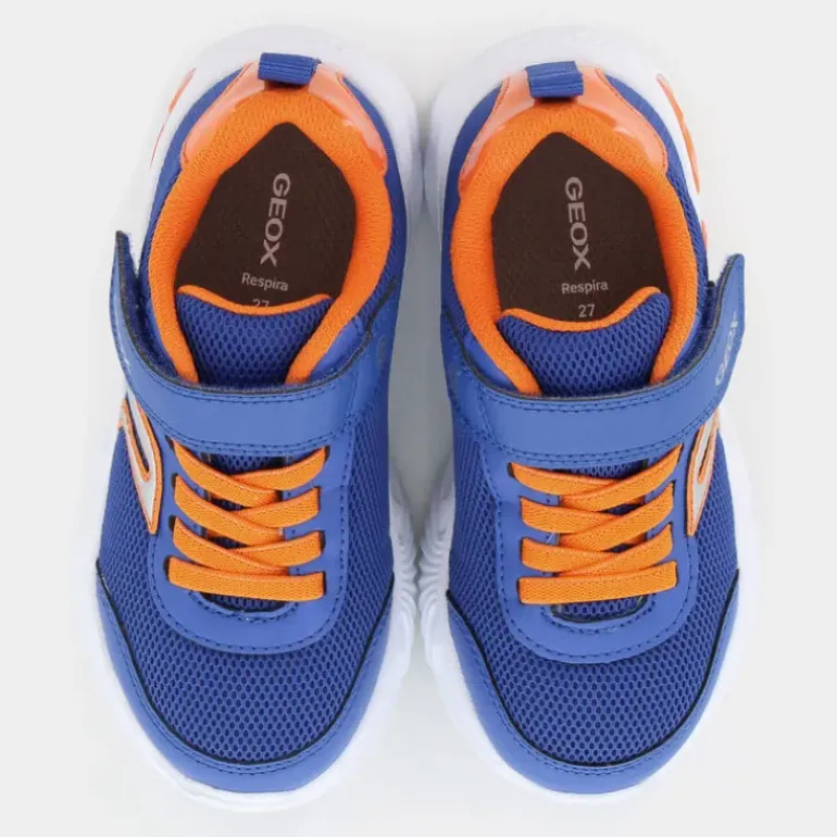 014CE- SPORTIVE BLU J45DZC014CEC0685