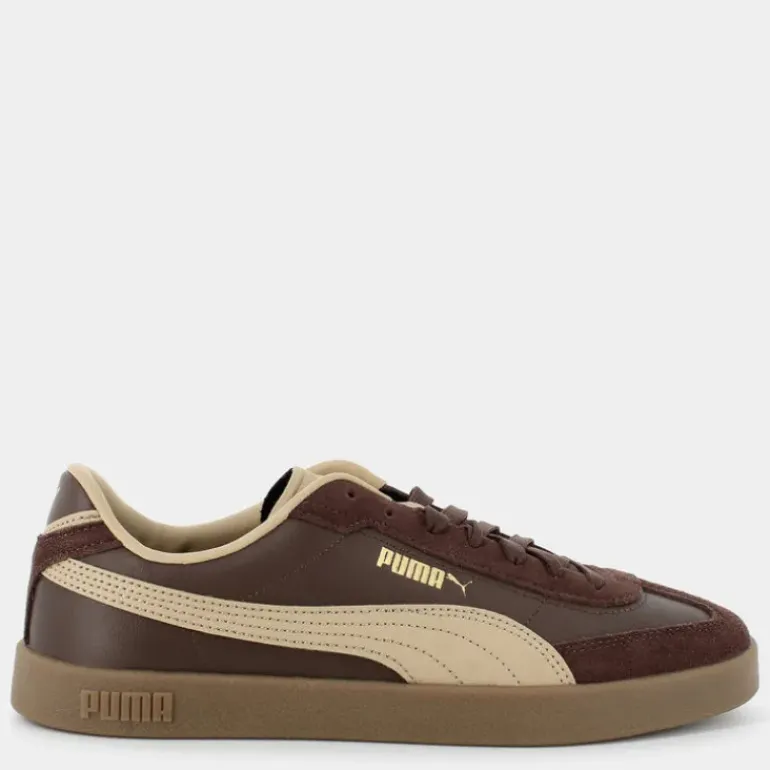 CLUB II ERA- SPORTIVE Espresso Brown-Sand Dune-Gold 397447