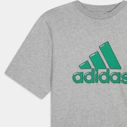 FILL G- T-SHIRT GRIGIO HS2514