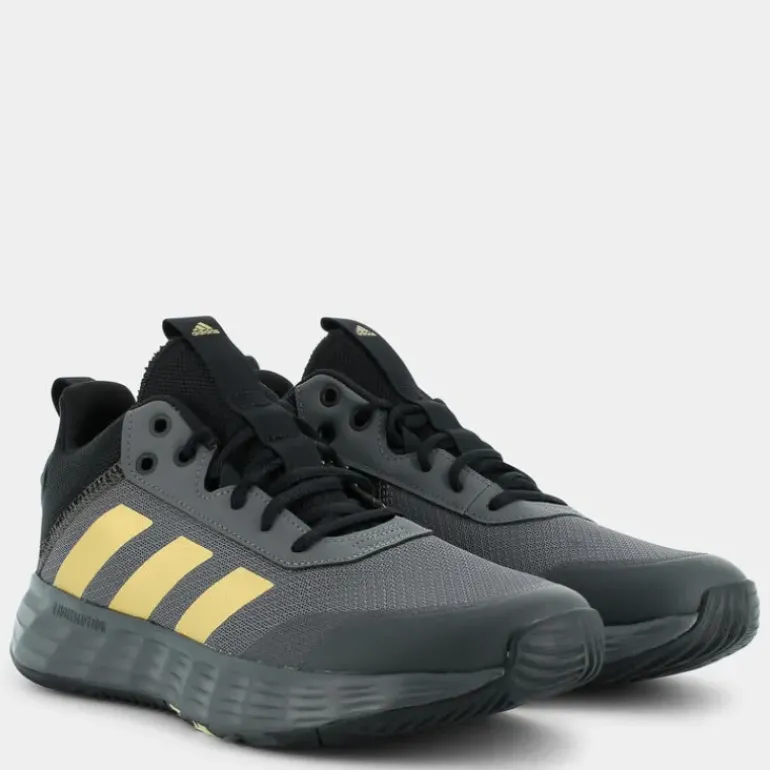 OWNTHEGAME 2.0- SPORTIVE grey five/matte gold/core black GW5483