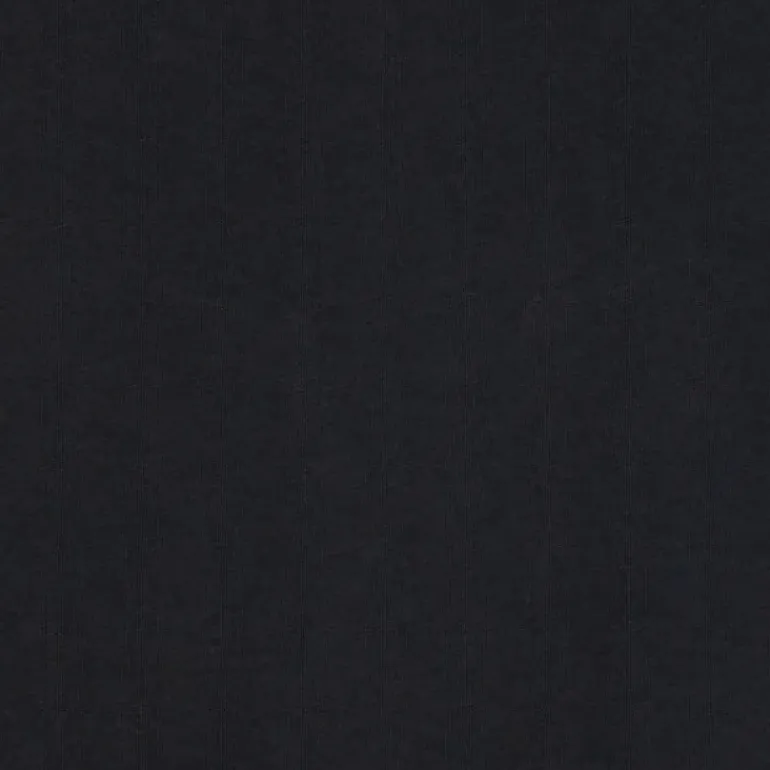 SALIS- T-SHIRT NERO NP0A4H8D