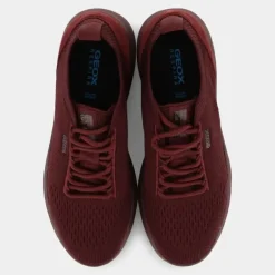 SPHERICA- SNEAKERS WINE D15NUA 0006K C7011