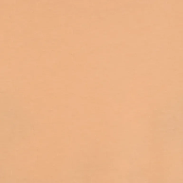 ZION TEE- T-SHIRT APRICOT ICE 12247808